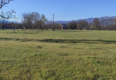 Land plot on popular Podgorica-Danilovgrad highway for trading or manufacturing