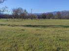 Land plot on popular Podgorica-Danilovgrad highway for trading or manufacturing