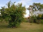 House with a big land plot in the suburb of Podgorica Golubovtsy with garden