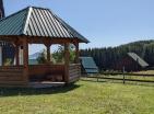 Open space big wood house 140 m2 in 2 levels is on sale in Zabljak