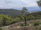 Land for sale in Lushtica for building a villa