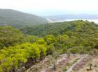 Land for sale in Lushtica for building a villa