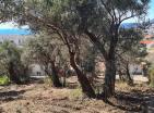 Land plot in Bar 620 m2 with panoramic sea view and with olive trees