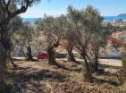 Land plot in Bar 620 m2 with panoramic sea view and with olive trees