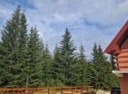 New wooden house 120 m2 in Zabljak in quiet place next to forest