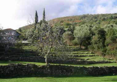 Land in Bijela