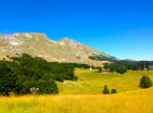 Big plot of land 22000 in Zabljak for building eco village