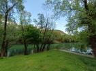 Big green demesne with 3 building in Danilovrad