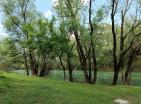 Big green demesne with 3 building in Danilovrad