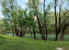 Big green demesne with 3 building in Danilovrad