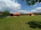 Big green demesne with 3 building in Danilovrad