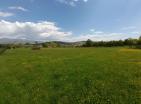 Big green demesne with 3 building in Danilovrad