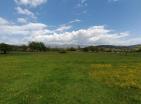 Big green demesne with 3 building in Danilovrad