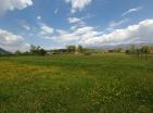 Big green demesne with 3 building in Danilovrad