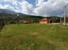 Big green demesne with 3 building in Danilovrad