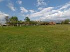 Big green demesne with 3 building in Danilovrad