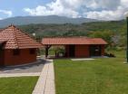 Big green demesne with 3 building in Danilovrad