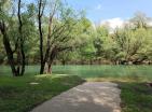 Big green demesne with 3 building in Danilovrad