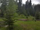 Urbanized plot for sale in the center of Zabljak for mini-hotel or house