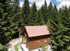 Legalized house in Zabljak with fireplace surrounded by coniferous forest