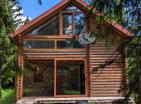 Legalized house in Zabljak with fireplace surrounded by coniferous forest