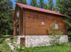 Legalized house in Zabljak with fireplace surrounded by coniferous forest