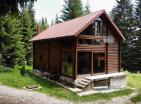 Legalized house in Zabljak with fireplace surrounded by coniferous forest