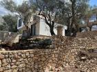 House in Bar for sale with pool in a cascading olive grove