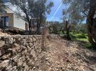 House in Bar for sale with pool in a cascading olive grove