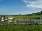 Urbanized land in Žabljak with construction permit in picturesque place