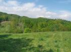 Big sunny plot of land in Kolashin 73000 m2 with panoramic view for investments