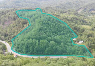 Big sunny plot of land in Kolashin 73000 m2 with panoramic view for investments