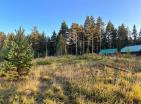 Secluded 578 m2 land plot in scenic pine forest, Zabljak