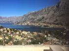 Luxury apartments in rezidence with sea-view next to Kotor, Montenegro