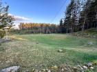 Breathtaking forest land in Zabljak, Montenegro amidst pine woods