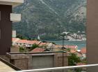 New luxury apartment with pool, near beach in Dobrota, Kotor