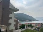 New luxury apartment with pool, near beach in Dobrota, Kotor