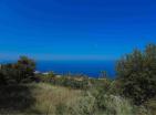 Land in Blizikuce 686 m2 with urbanization with perfect view to Sveti Stefan