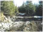 Exclusive mountain land for hunting farm 19720 m amidst pristine Durmitor nature