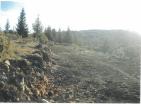 Exclusive mountain land for hunting farm 19720 m amidst pristine Durmitor nature