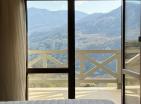 Luxurious villa with huge vineyard and pool next to Virpazar, Montenegro