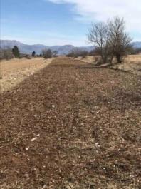 Big land plot 218 000 m2 in Grahovo for agriculture