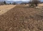 Big land plot 218 000 m2 in Grahovo for agriculture