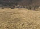 Big land plot 218 000 m2 in Grahovo for agriculture