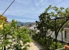 Luxury garden apartment in Baošići just steps from the sea