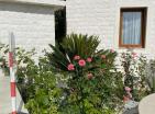 Mini-hotel in Herceg Novi for sale with garden and swimming pool