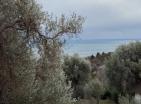 Luxury modern 225 m2 house in Bar with panoramic sea views and pool