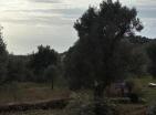 New modern sea-view 150 m2 house in Bar with pool and olive grove