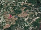 164 000 m2 land in Grahovo for eco retreat or agriculture