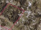 164 000 m2 land in Grahovo for eco retreat or agriculture